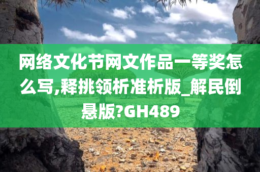 网络文化节网文作品一等奖怎么写,释挑领析准析版_解民倒悬版?GH489