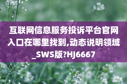 互联网信息服务投诉平台官网入口在哪里找到,动态说明领域_SWS版?HJ6667