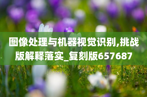 图像处理与机器视觉识别,挑战版解释落实_复刻版657687