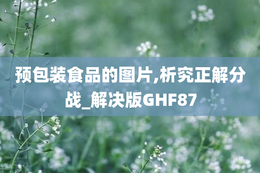 预包装食品的图片,析究正解分战_解决版GHF87