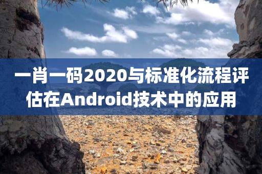 一肖一码2020与标准化流程评估在Android技术中的应用