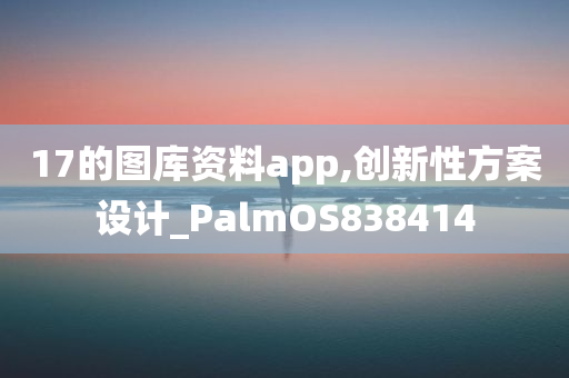 17的图库资料app,创新性方案设计_PalmOS838414