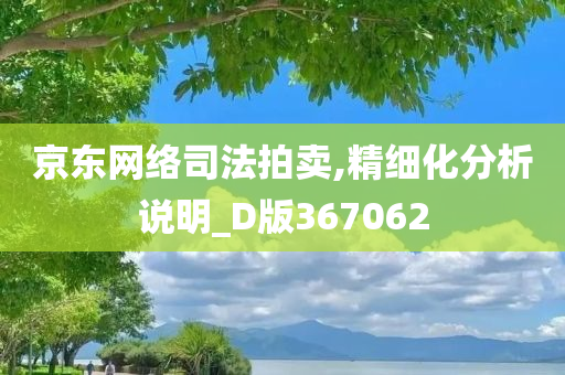 京东网络司法拍卖,精细化分析说明_D版367062