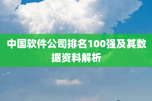 中国软件公司排名100强及其数据资料解析