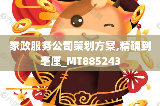 家政服务公司策划方案,精确到毫厘_MT885243