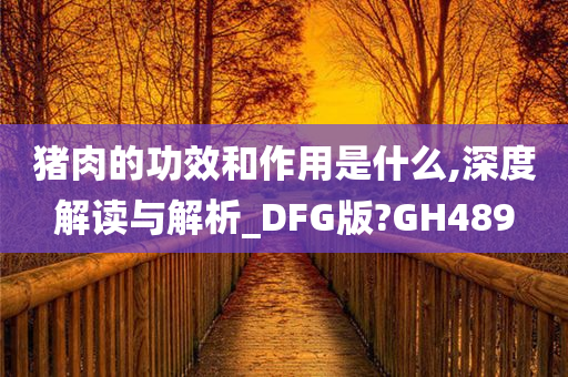 猪肉的功效和作用是什么,深度解读与解析_DFG版?GH489