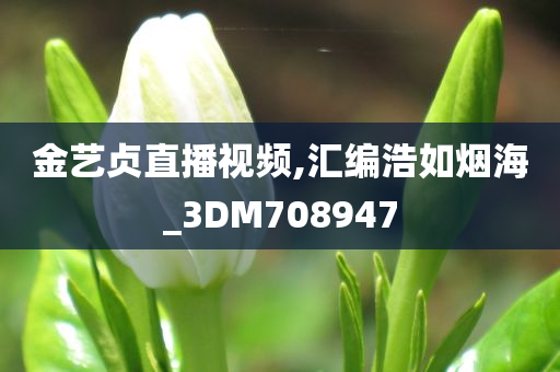 金艺贞直播视频,汇编浩如烟海_3DM708947