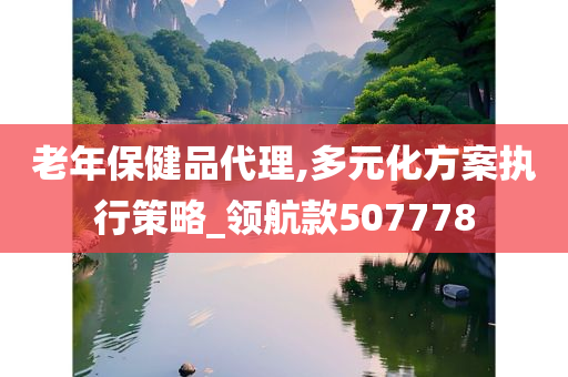 老年保健品代理,多元化方案执行策略_领航款507778