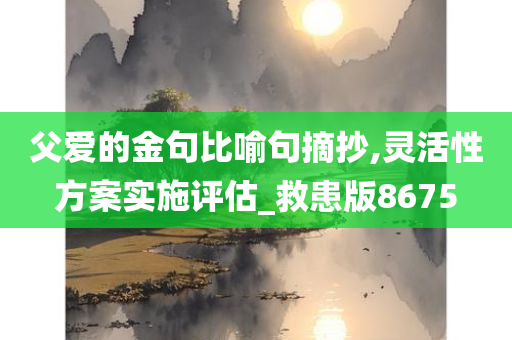 父爱的金句比喻句摘抄,灵活性方案实施评估_救患版8675