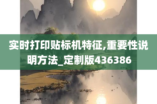 实时打印贴标机特征,重要性说明方法_定制版436386