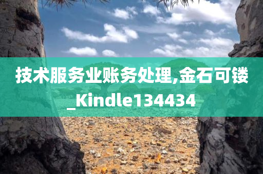 技术服务业账务处理,金石可镂_Kindle134434