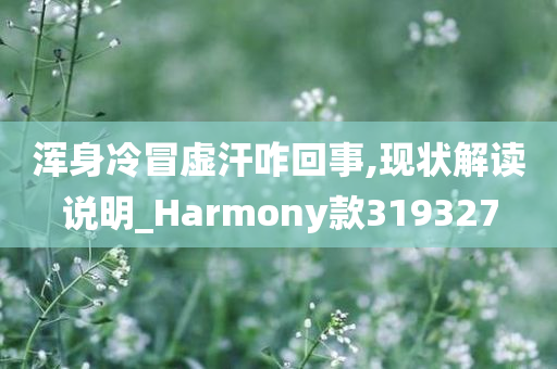 浑身冷冒虚汗咋回事,现状解读说明_Harmony款319327