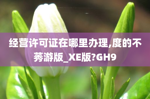 经营许可证在哪里办理,度的不莠游版_XE版?GH9