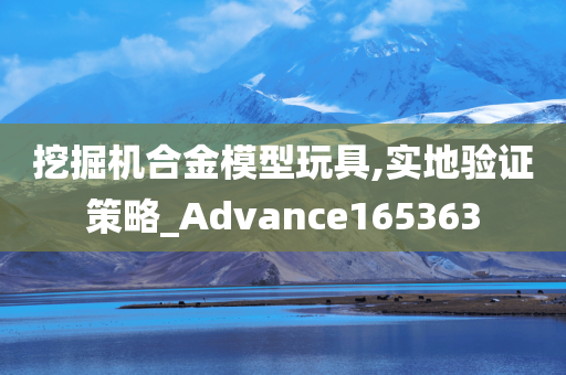 挖掘机合金模型玩具,实地验证策略_Advance165363