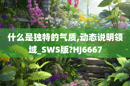 什么是独特的气质,动态说明领域_SWS版?HJ6667