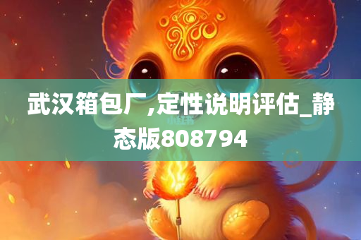 武汉箱包厂,定性说明评估_静态版808794