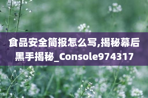 食品安全简报怎么写,揭秘幕后黑手揭秘_Console974317