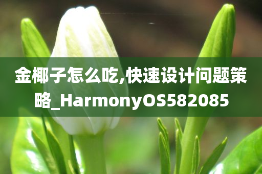 金椰子怎么吃,快速设计问题策略_HarmonyOS582085