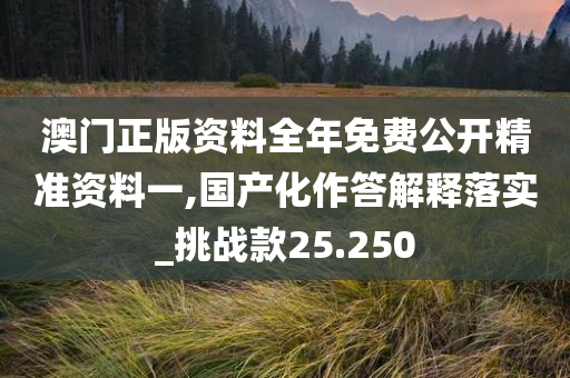 澳门正版资料全年免费公开精准资料一,国产化作答解释落实_挑战款25.250