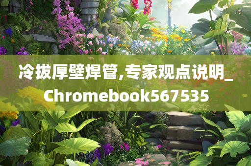 冷拔厚壁焊管,专家观点说明_Chromebook567535