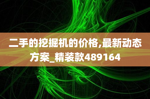 二手的挖掘机的价格,最新动态方案_精装款489164