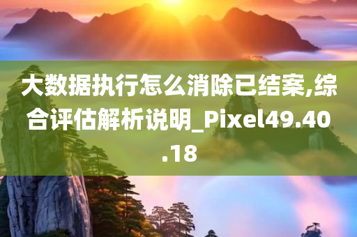 大数据执行怎么消除已结案,综合评估解析说明_Pixel49.40.18