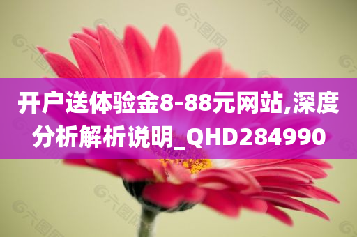 开户送体验金8-88元网站,深度分析解析说明_QHD284990