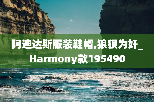 阿迪达斯服装鞋帽,狼狈为奸_Harmony款195490