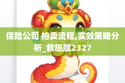 保险公司 拍卖流程,实效策略分析_救施版2327