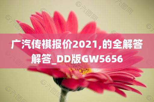 广汽传祺报价2021,的全解答解答_DD版GW5656