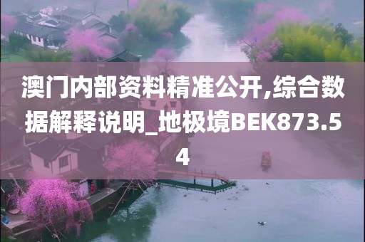 澳门内部资料精准公开,综合数据解释说明_地极境BEK873.54