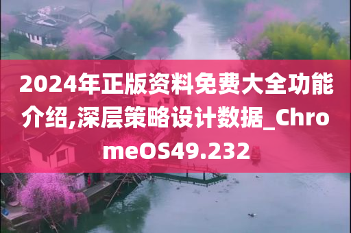 2024年正版资料免费大全功能介绍,深层策略设计数据_ChromeOS49.232