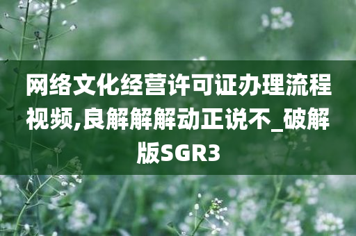 网络文化经营许可证办理流程视频,良解解解动正说不_破解版SGR3