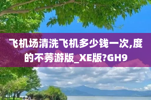 飞机场清洗飞机多少钱一次,度的不莠游版_XE版?GH9