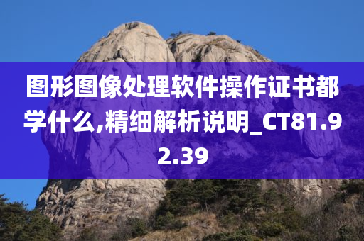 图形图像处理软件操作证书都学什么,精细解析说明_CT81.92.39