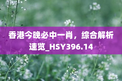 香港今晚必中一肖，综合解析速览_HSY396.14