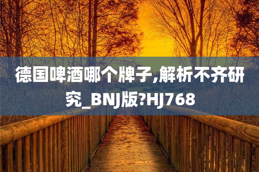 德国啤酒哪个牌子,解析不齐研究_BNJ版?HJ768