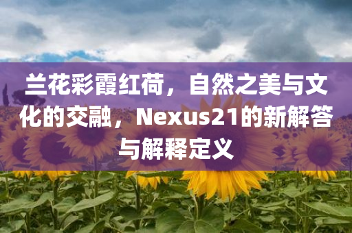 兰花彩霞红荷，自然之美与文化的交融，Nexus21的新解答与解释定义