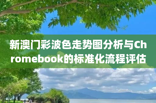 新澳门彩波色走势图分析与Chromebook的标准化流程评估