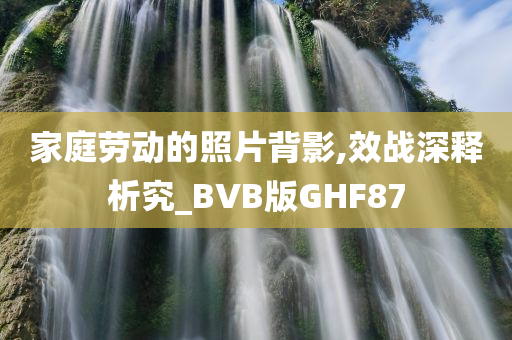 家庭劳动的照片背影,效战深释析究_BVB版GHF87