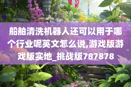 船舶清洗机器人还可以用于哪个行业呢英文怎么说,游戏版游戏版实地_挑战版787878