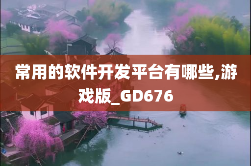 常用的软件开发平台有哪些,游戏版_GD676