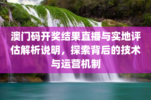 澳门码开奖结果直播与实地评估解析说明，探索背后的技术与运营机制