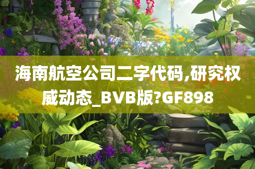 海南航空公司二字代码,研究权威动态_BVB版?GF898