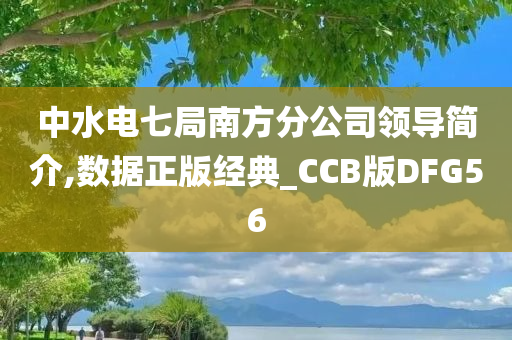 中水电七局南方分公司领导简介,数据正版经典_CCB版DFG56