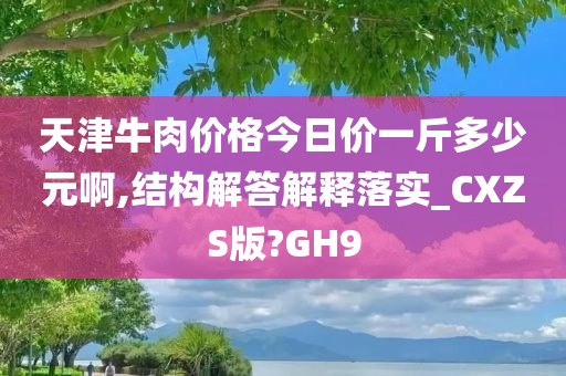 天津牛肉价格今日价一斤多少元啊,结构解答解释落实_CXZS版?GH9