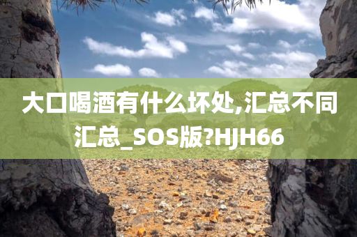 大口喝酒有什么坏处,汇总不同汇总_SOS版?HJH66