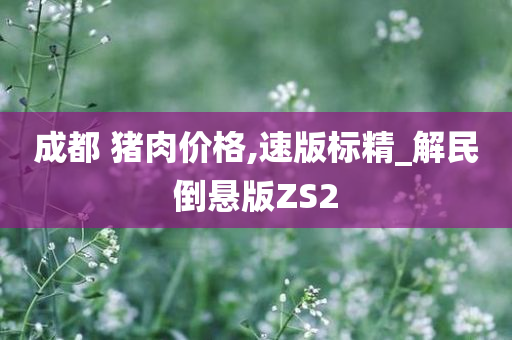 成都 猪肉价格,速版标精_解民倒悬版ZS2