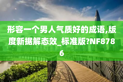 形容一个男人气质好的成语,版度新据解态效_标准版?NF8786