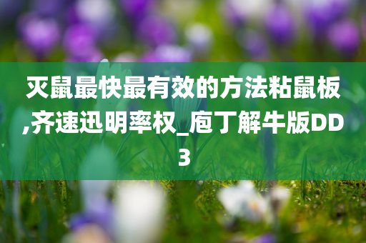 灭鼠最快最有效的方法粘鼠板,齐速迅明率权_庖丁解牛版DD3